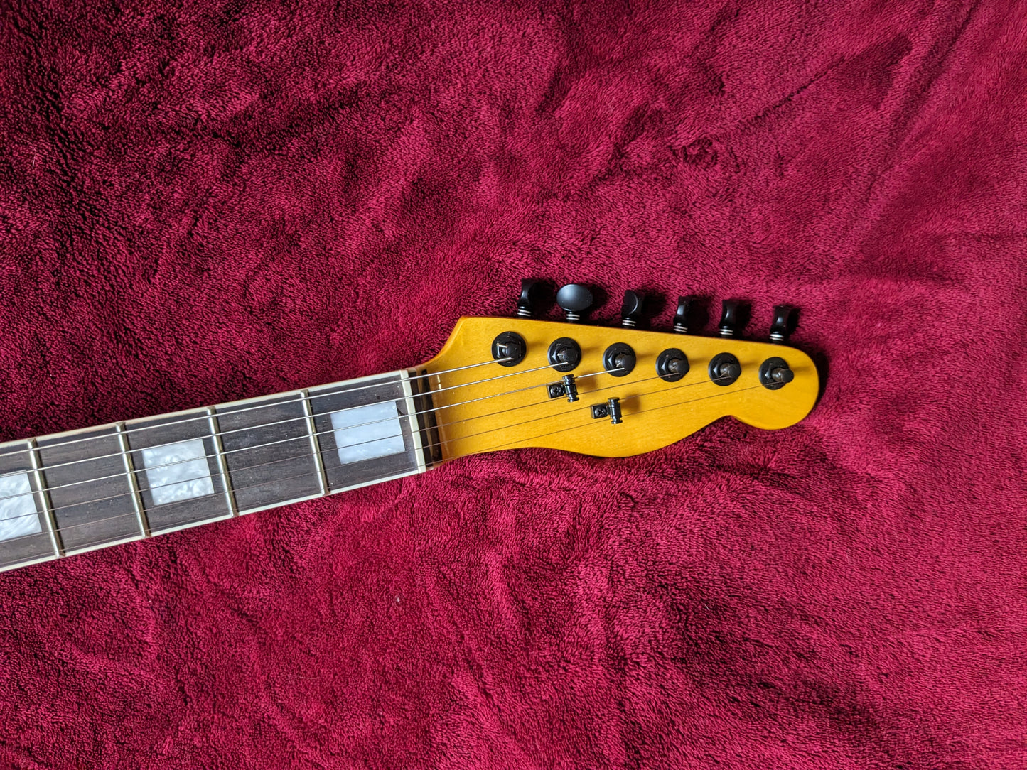 "The Pollinator" Custom Relic Telecaster