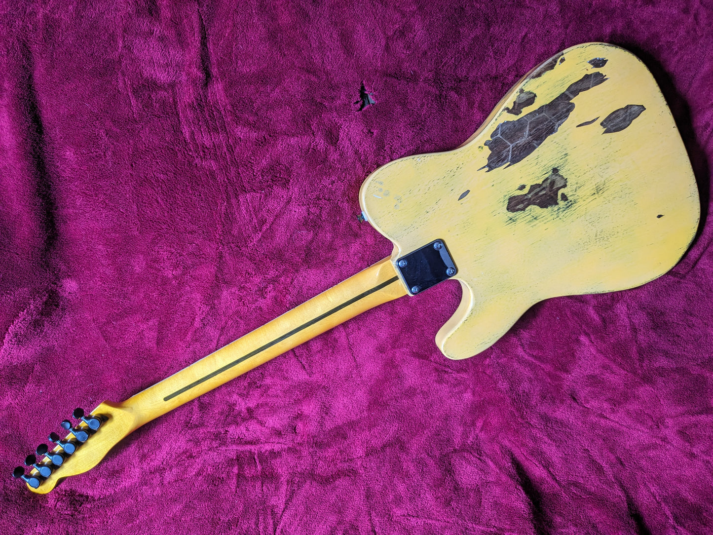 "The Pollinator" Custom Relic Telecaster